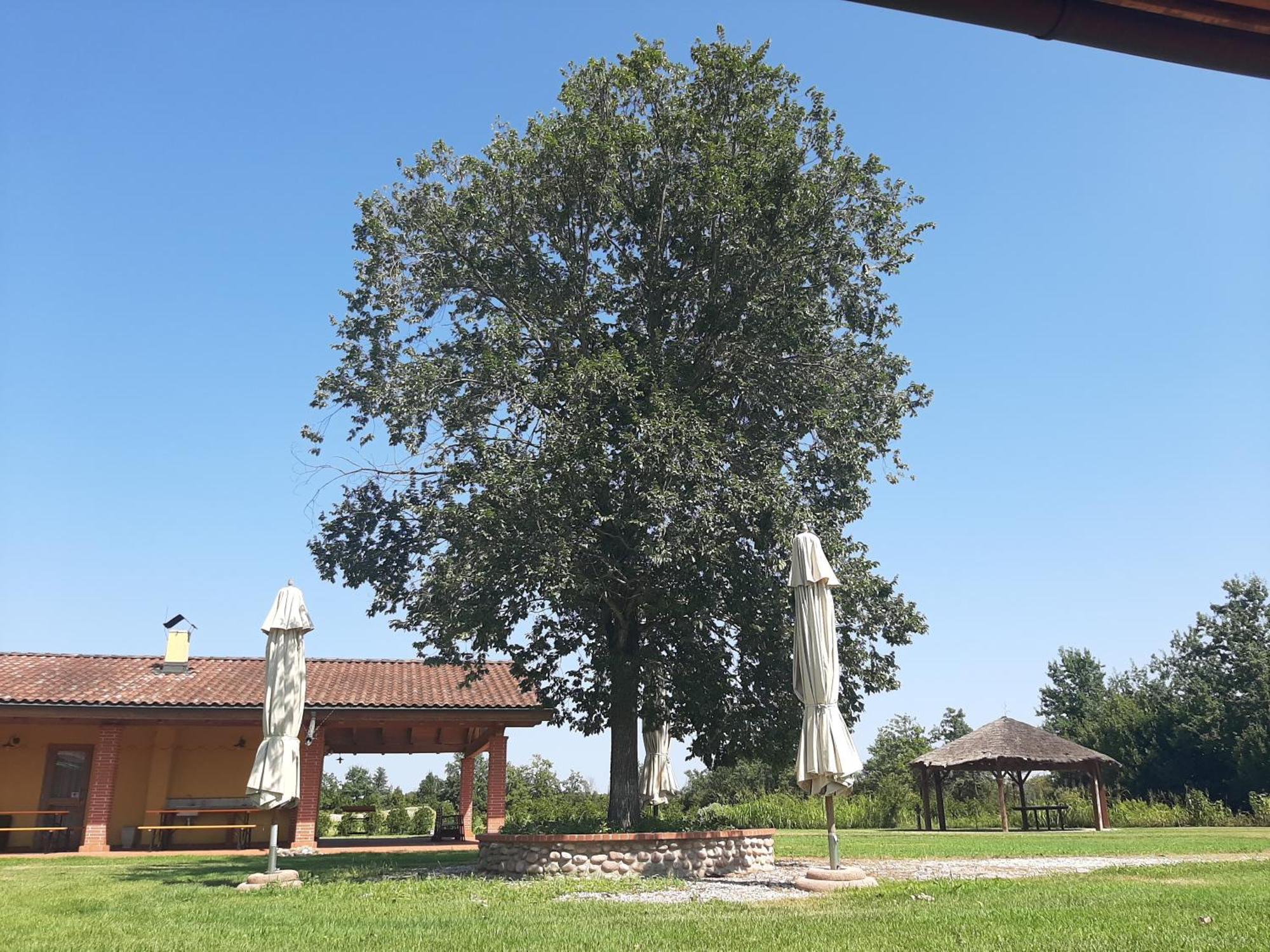 Corte All'Olmo Verona Ngoại thất bức ảnh